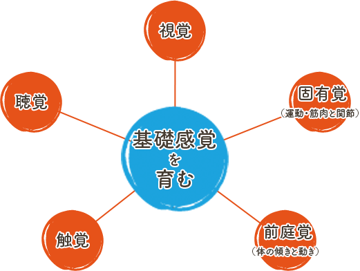 基礎感覚を育む 聴覚  固有覚（運動・筋肉と関節）  触覚　 前庭覚（体の傾きと動き） 視覚